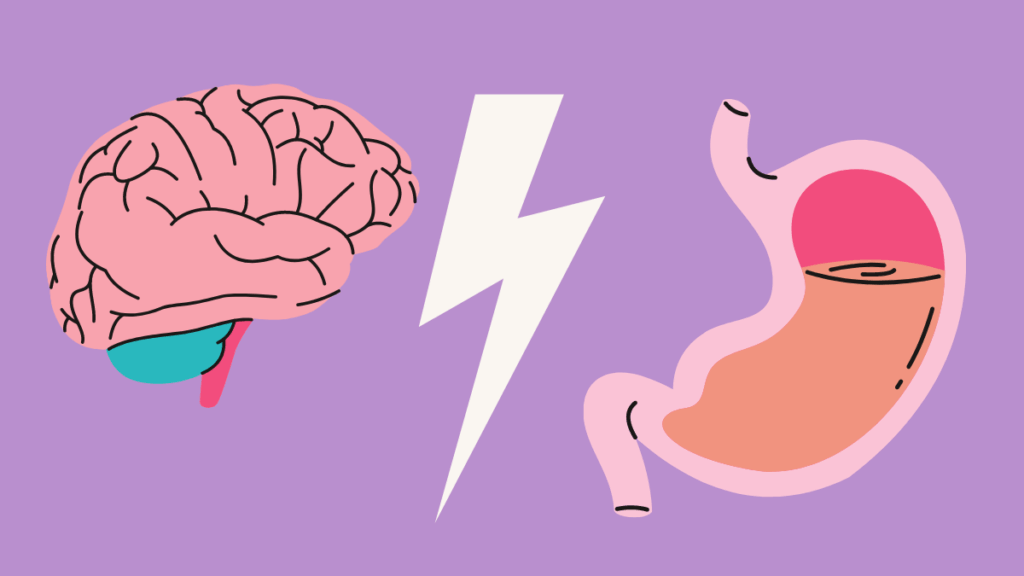 gut-brain axis